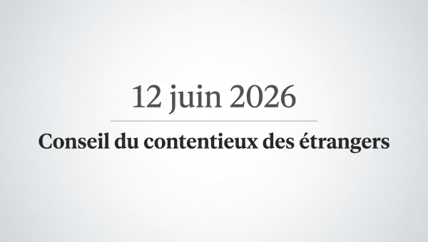 Reform of the Council for Alien Law Litigation: what changes on 12 June 2026